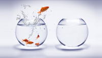 Atelier de formation les 29 & 30 mai 2026 Avec Pascale BRILLON
